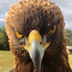 Meet your Posher, Raul